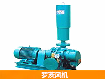 羅茨風(fēng)機(jī) 羅茨風(fēng)機(jī)
