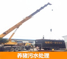 養(yǎng)殖場(chǎng)污水未經(jīng)處理排入河道 官方要求停止排污行為